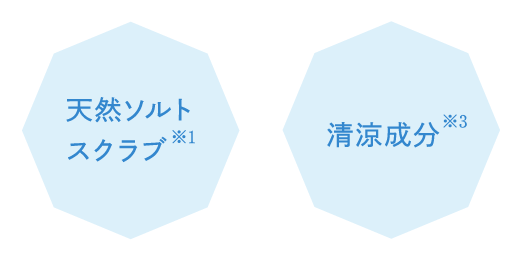 天然ソルトスクラブ※1　清涼成分※2